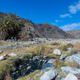 Image for article titled Found: California’s Lost Bighorn Sheep